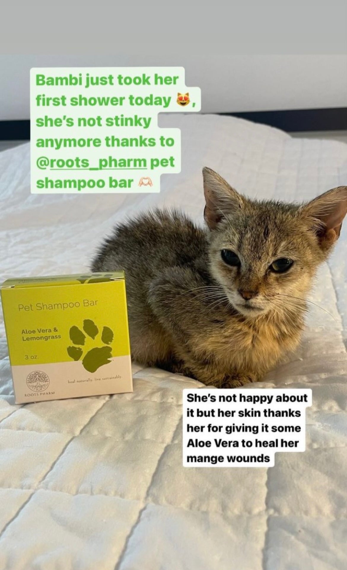 Pet Shampoo Bar